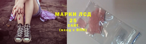 spice Богородск