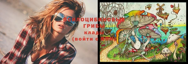 spice Богородск