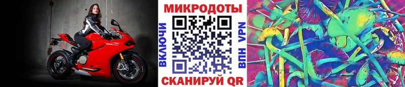 Галлюциногенные грибы мухоморы где купить Кедровый